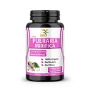 Pueraria Puffica Suplemen 500mg Powder Root Extract yang diimpor dari Thailand - Prootes Kesehatan Perempuan, Organik Natural Herbal, 60 Veggie Capsules
