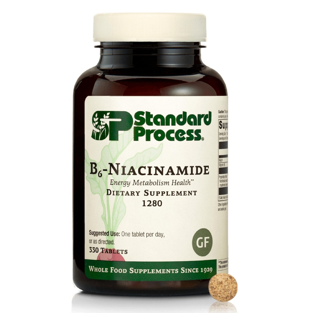 Proses Standar B6- Niacinamide - Dukung Energi Metabolisme & Heart Health - Aids Digetical & Blood Circulation System - Gluten- Free, Non-Dairy & Non-Soy - 90 Tablets (90 Servings)