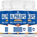 15 in- 1 Alpha GPC Suplemen dengan Phoshatidyserine, Uridine, L- Theanine, Moshroom Mane Lion, 180 Capsules