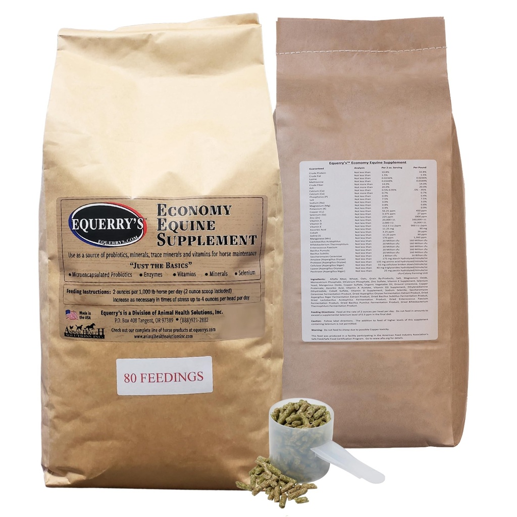 Equerry 's Equomy Equine Suplement - Horse Progories 124; Horse Vitamin and Mineral Supplemen Enzymes and Selenium, 10lb