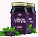 Green Jay Gourmet Elderberry Tonic - All Natural Elderberry Syrup - Elderberry Immune Support for Children & Adults - powerful Elderberry & Honey Blend - Sambucus Elderberry Syrup - 2 x 22 Ounces