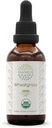 HerbEra Wheatgrass B60 USDA Organik Tincture 124r Alcohol-Free Extract, High- Potency Herbal Drops, Suplemen Liquid 12.4; Certifikasi Organik Wheatgrass (Triticum aestivum) Dry Leaf (2 oz)