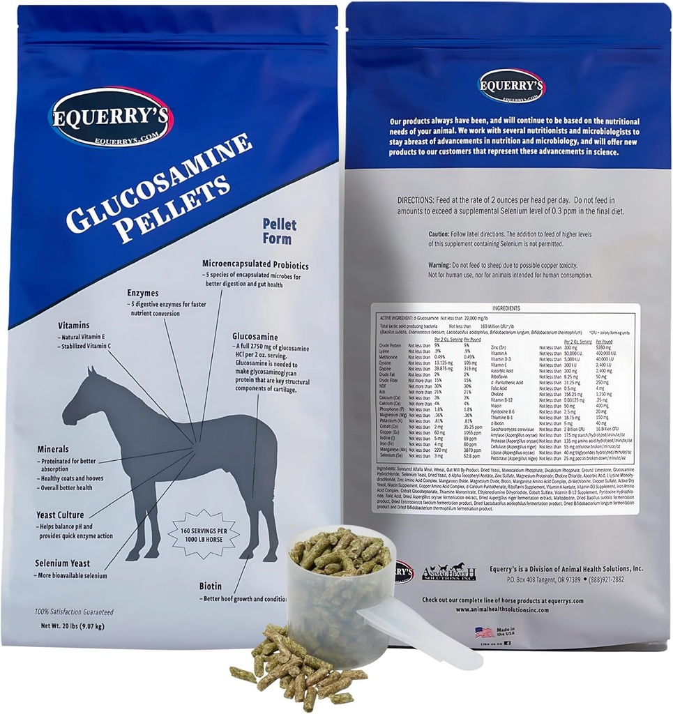 Equerry 's Glucosamine Pellets - Gabungan Dukungan untuk Kuda dengan Propotik, Enzymes Digetical, Vitamin, dan Mineral - Dibuat di AS - 20lb