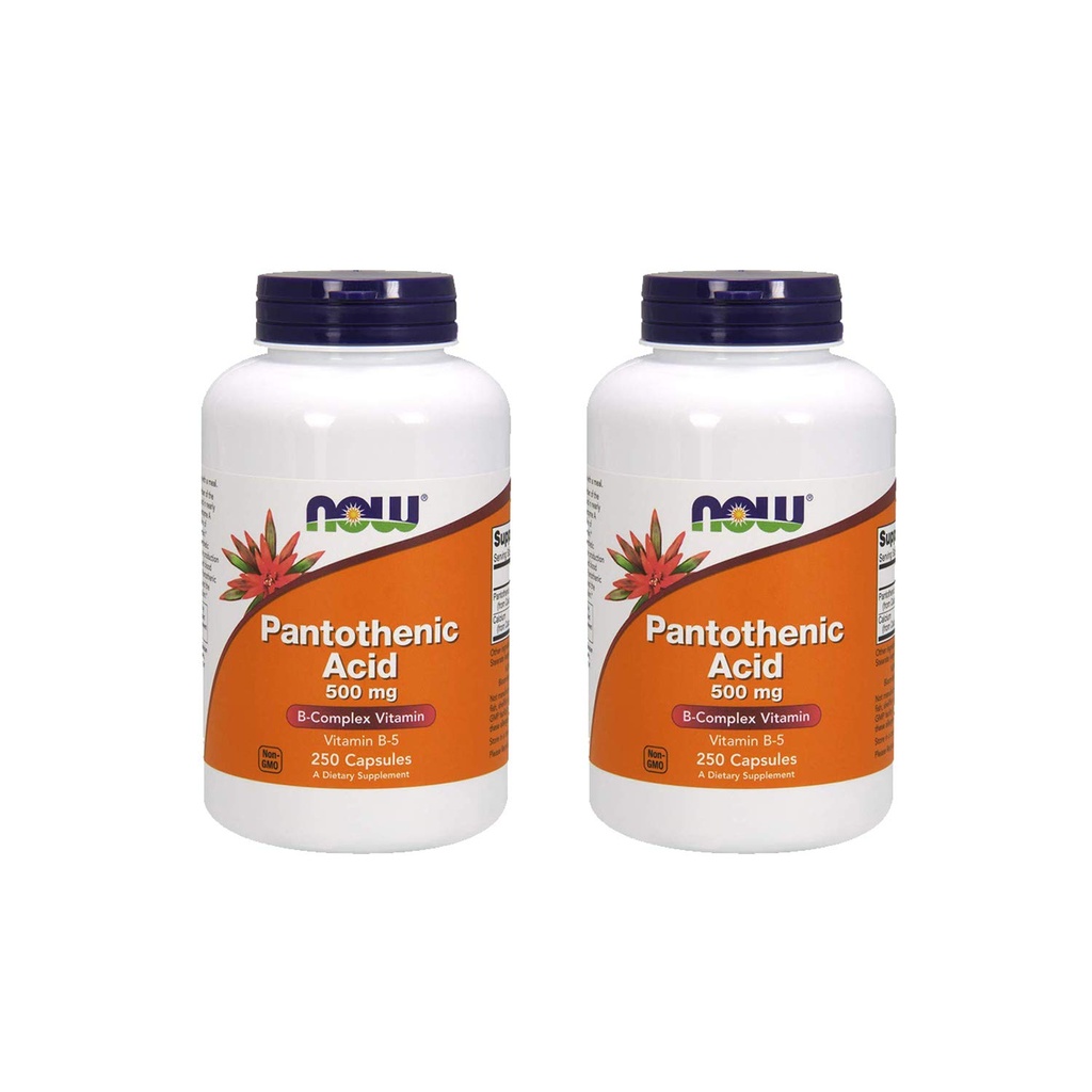 Sekarang Makanan Pantothenic Acid 500 mg, 250 Capsule (2 Pack)