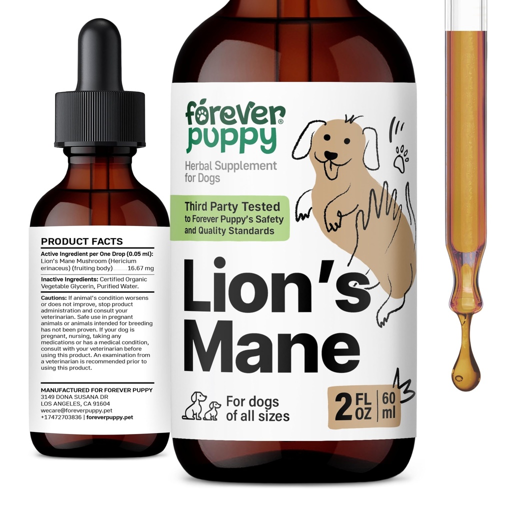 Forever Puppy Lions Mane Mushroom Suplemen untuk Dogs - Brain & Focus Dukungan - Liquid Lion Mane Jamur untuk Anjing - Canine Vitamin dan Suplemen - Gula & Alcohol- Free Drops - 2 fl oz