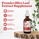 Rejuvica Active Olive Leaf Extract 124; Alami Occurring Oleuropein Cid Drops for Imune & Heart Dukung Atter4- Fastion, Vegan, Alcohol- Free 124; 6 fl oz