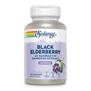 Solaray - Sambuactin Elderberry Ekstrak, 60 Lozenges