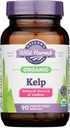 Oreñes Wild Harvest Organic Kelp, 90 CT