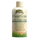 Garden Greens Wheat Grass Liquid with Real Ginger Extract, Nature 's Sempurna Superfood, 32 porsi