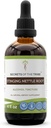 Rahasia Tribe Stinging Nettle Root Extract, High-Potency Herbal Drops, Tincture Made from Stinging Nettle (Urtica dioica) Dry Root 4 oz
