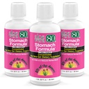 Lily of The Desert Stomach Formula, Aloe Vera 80 Gel - Comcented Aloe Vera Juice with Slippery Elm, Chamomile, Peppermint, and Ginger for Gut Health, Heartburn, Acid Reflux, 32 Oz (Paket 3)