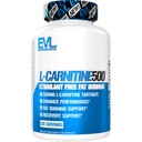 EVL L- Carnitine Supplemen untuk Weight Los Dupport - L Carnitine Tartine for Cellular Energy Endurance and Fat Burning Support - Stimulant Free Amino Acid for Fat Metabolisme (120 Servings)