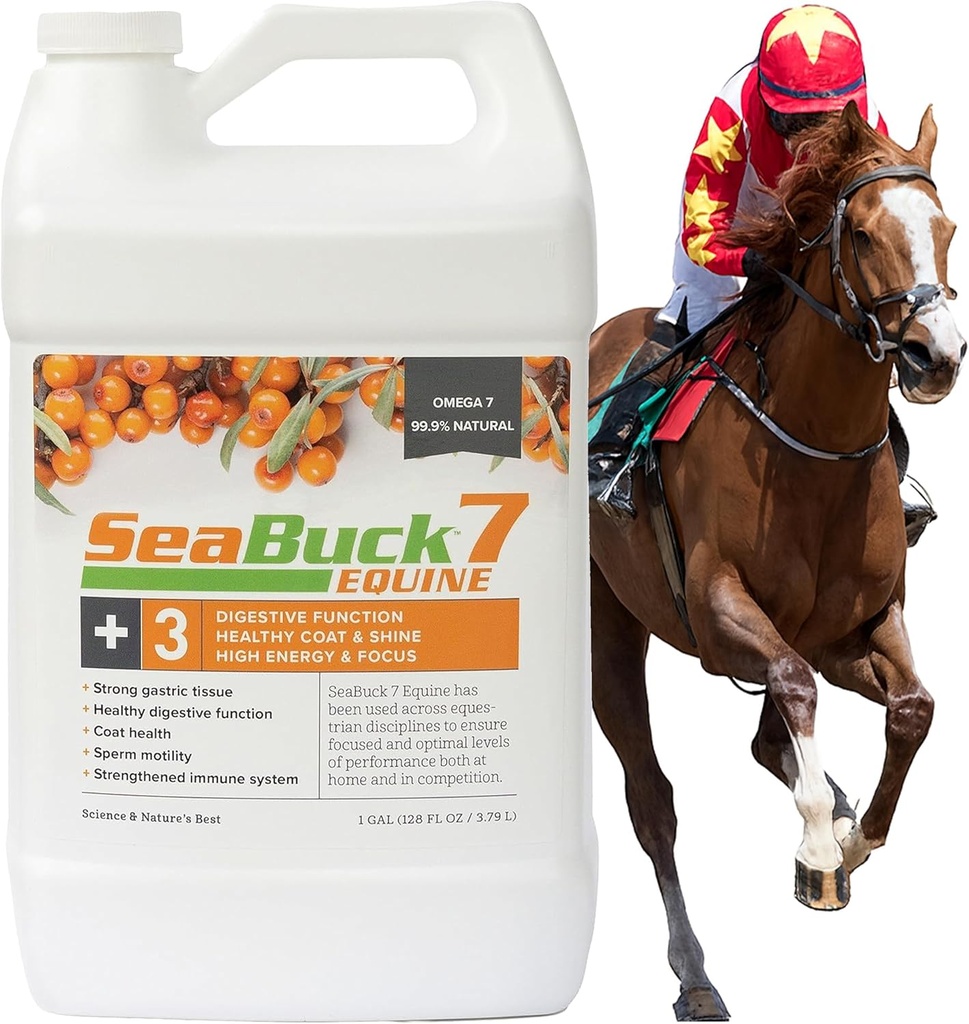 Suplemen Sequine 7 untuk Kuda dengan Sea Buckthorn untuk Impreve Horse Health (3- 6 Week Supply, 1 Gallon) - Mendukung Makan Kesehatan & Divalry, Meningkatkan Energi / Fokus, & Sapi Bersinar untuk Kuda