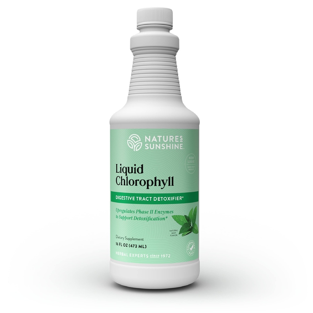 Chlorofil Mentari Alam - Dukungan kekebalan, Detox & Cleanse, Klorofil Drops dengan Spearmint Oil, Natural Energy Boost, Internal Deodoran - 16 Fl Oz