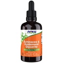 Sekarang Suplemen Makanan, Echinacea & Goldenseal Glycerite dengan Dropper, Dukungan Sistem Imune *, 2-Ounce