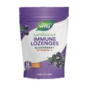Nature 's Way Sambucus Immune Lozenges, High Potency Vitamin C, Elderberry, 24 Tropical Flavored Lozenges (Packaging May Vary)