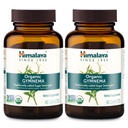 Hilaya Organik Gymnema Sylvestre - Herbal Gholi Metabolisme Dukungan - USDA Organik, Non- GMO, Vegan, Gluten Bebas, 700 mg, 60 Caplets (Paket 2)