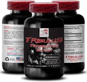 Alami Stamina Boost - TRIBULUS TERRESTRIS Ekstrak - Kekuatan & Aktivitas, Optifitas Energi Formula, Pembangunan, Performance Body Blend, Pemulihan Aktif, Pemulihan Energi 1Bot 90Tab