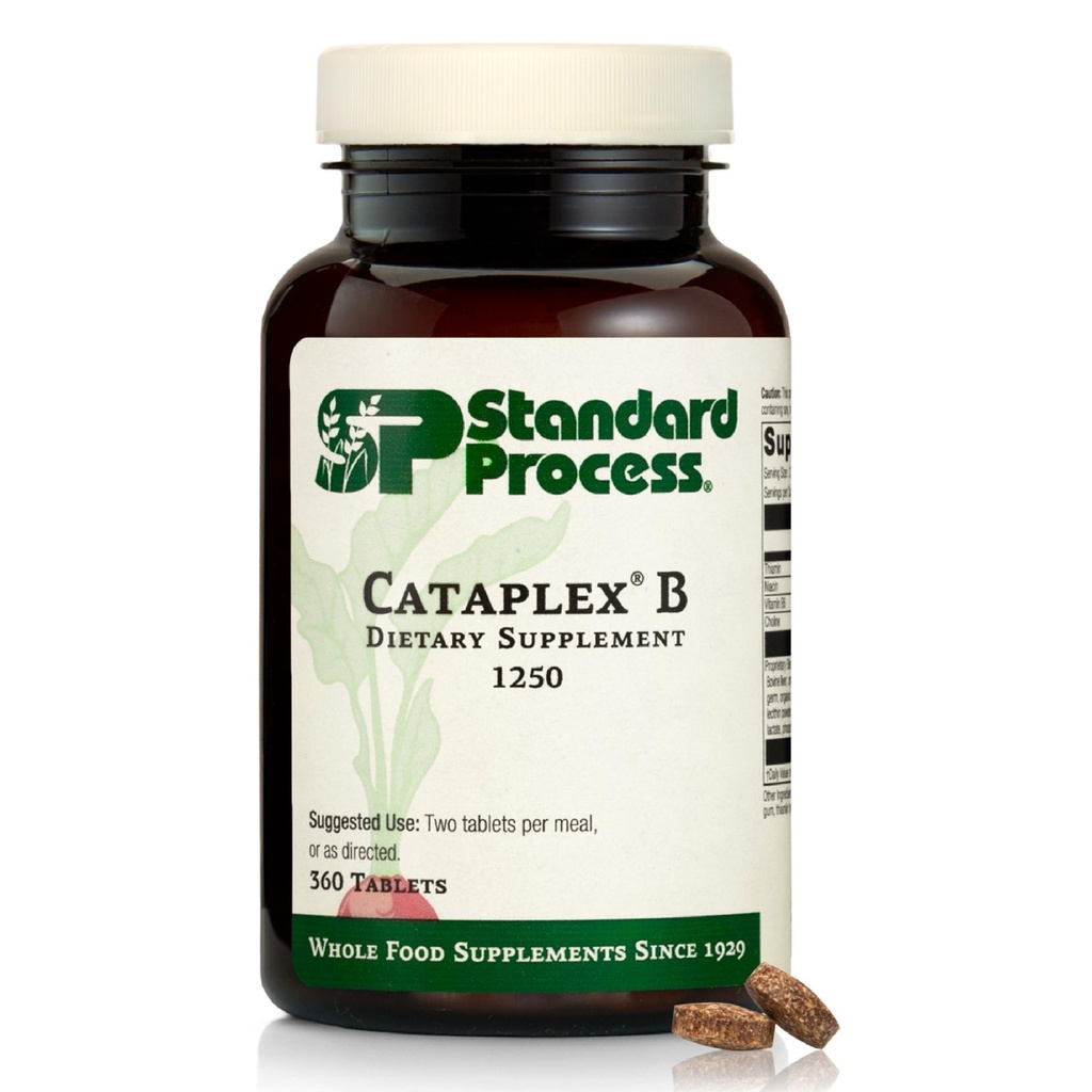 Proses Standar Cataplex B - Seluruh Food Formula dengan Niachin, Vitamin B6, Thiamine, dan Inositol untuk Kesehatan Jantung, Metabolisme, dan Maintenance Cholesterol - 360 Tablet