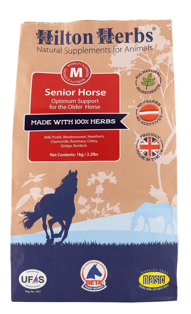 Senior Horse: Total Dukungan untuk Kuda Tua & Ponies