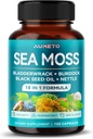 Premium Sea Moss Supplement dengan Black Seed Oil, Ashwagandha, Bladderwrack, Nettle- Advanced 18-in- 1 Formula untuk Keimula Boosting, Mineral- Kaya - Dibuat di USA (150 Count (150 Cacah 1)
