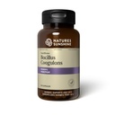Nature 's Sunshine Nutribiome Bacillus Coagulans Progities, 90 Capsules 124; 3 Milyar CFU of Bacillus Probiotic Coagulles Membantu Defending Against Digeptical Upset dan Diare Occasional, Gas dan Bloating