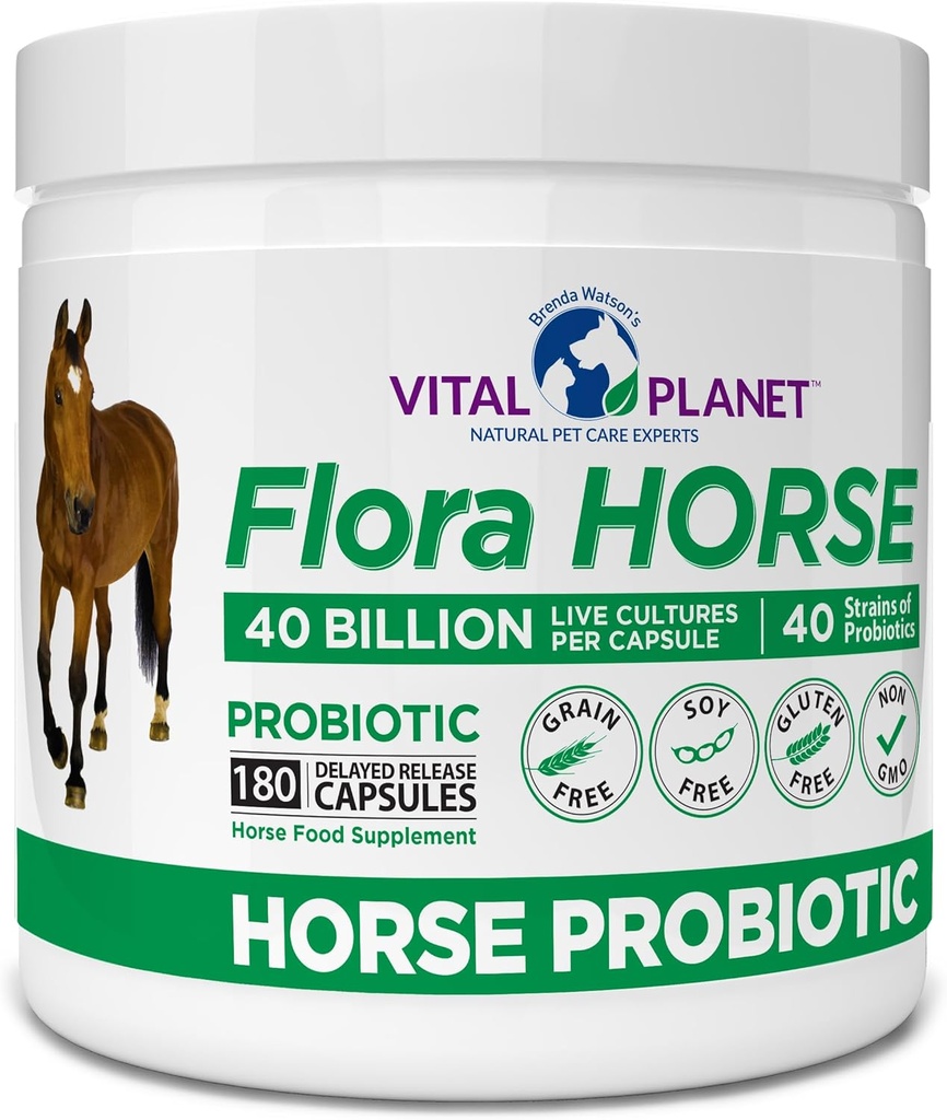 Planet Vital - Flora Horse Probiotic, Potency Equine Progities dengan Prestial, 40 Miliar Live CFU dari Multiple Strains, Digetical and Imune Dukung, 180 Delayed Rilis Capsules (180 Hari)