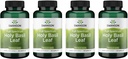 Swanson Holy Basil Leaf (Tulsi) - Stress Support dan Well- Being Suplement - (120 Capsules, 800mg Per Serving) (4 Pack)