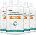 Organbasi Lipomal NAD + Suplemen 500 mg, Absorpsi Tinggi, Boost NAD + dengan TMG 250 mg, Actual NAD Plus More Efisien Daripada Nicotinamide Riboside, Dukungan Energi Cellular, Penuaan sehat 124; 240 Softgels