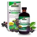 Nature 's Respons Sambucus Elder Berry Extract Syrup 8 Ounce (3 Pack) Alag 124; Daily Ammune Support 124; Packed with Antioksidants 124; Family Friendly 124; Flue Season Defender