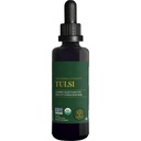 Global Healing Center - Organic Tulsi (Holy Basil Leaf Extract) Vegan Liquid Drops (Organic Basil) - Biovailable Herb untuk Normal Stress Response, Natural Energy & Imune Support