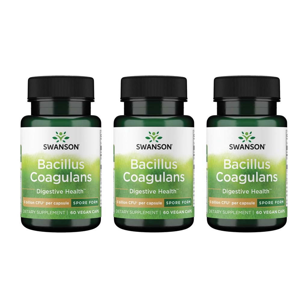 Swanson Bacillus Coagulans - Tambahan Probiotic Alam Mendukung Kesehatan Digetical w / 6 Milyar CFU - Mei Dukungan GI & Overall Gut Kesehatan - (60 Veggie Capsules) 3 Pack