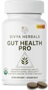 Gut Health Pro - Bloat Relief, Detox & Digetical Suplement - 100% Organ Triphala Murni - untuk Women & Men - Uncoated Vegan Tablet -120Ct