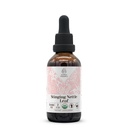 Menyetrum Nettle Leaf USDA Organik Alcohol- Extract Bebas 124; Dietary Suplement, High- Potency Tarture 124; Natural Certified Organic Stanging Nettle (Urtica Dioica) Dry Leaf (2 oz)