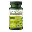 Banyan Botanicals Neem Tablet - Organic Neem Leaf (Azadirachta Indica) - Mendukung Detoksifikasi Alam, Skin Sehat, dan Kesehatan Imune * - 90 Tablet-Non-GMO Menyediakan Vegan