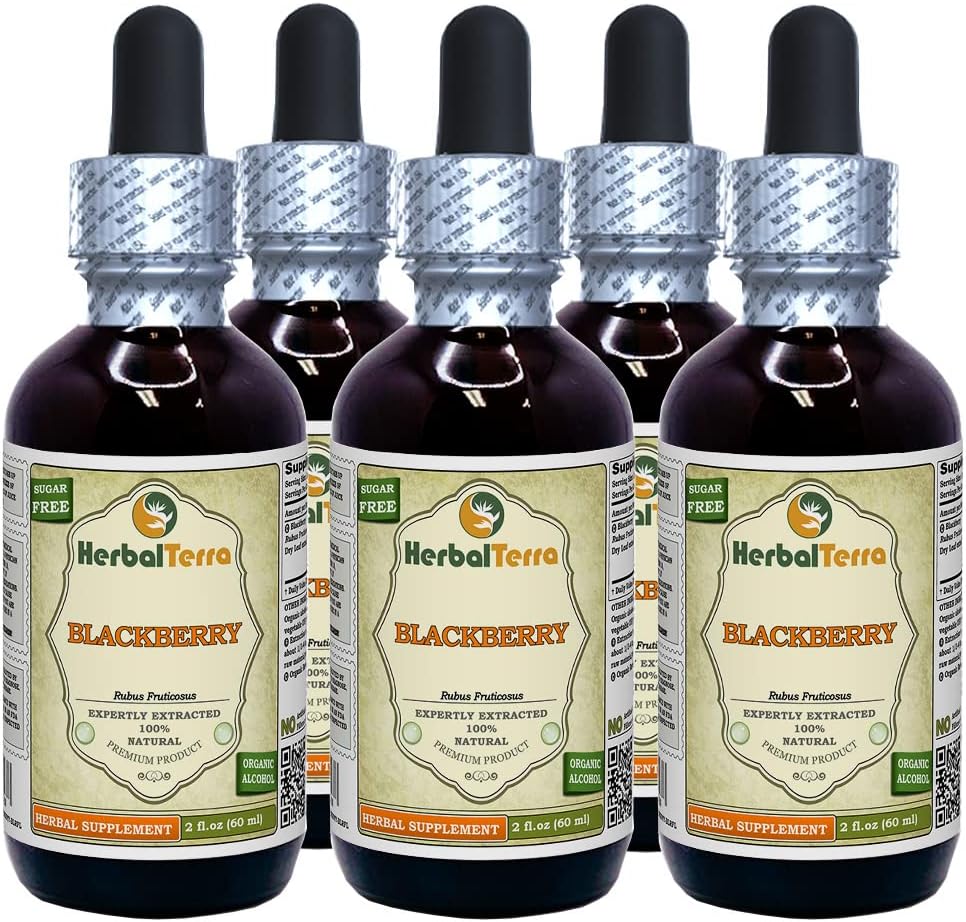 BlackBerry (Rubus frutikosus) Tincture, Organic Dryed Leaves Liquid Extract (Nama Merek: HerbalTerra, Proughtly Made in USA) 5x2 fl.oz (5x60 ml)