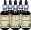 BlackBerry (Rubus frutikosus) Tincture, Organic Dryed Leaves Liquid Extract (Nama Merek: HerbalTerra, Proughtly Made in USA) 5x2 fl.oz (5x60 ml)