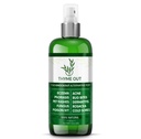 Semua Treatment- Eczema Natural Psoriasis Treatment - sebuah Solusi All-inOne untuk Acne, Dermatitis, Rosaea, Cold Sores, Bites, Poison Ivy - Anti- Itch Spray untuk Itchy Skin Relief 4oz