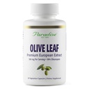 Surga Herbs Olive Leaf Extract dari Spanyol Andalusia Olive Trees, Super Mampu, Ultra Pure, Non-GMO, Vegan, Gluten Bebas, 60 Vegetarian Capsules