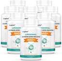 Organbasi Lipomal NAD + Suplemen 500 mg, Absorpsi Tinggi, Boost NAD + dengan TMG 250 mg, Actual NAD Plus More Efisien Dari Nicotinamide Riboside, Dukung Energi Cellular, Anging sehat 12480 Softgeels
