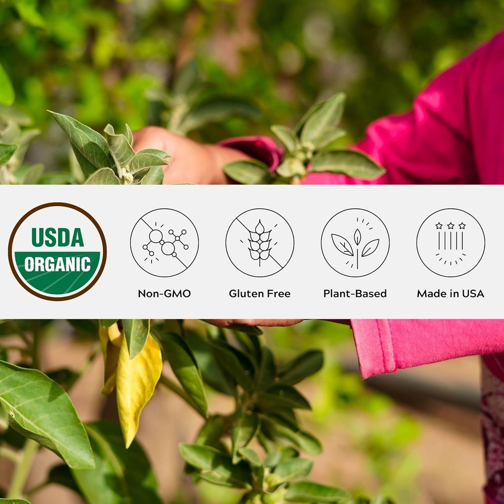 Powder Ashwagandha Organik, GMO-Non-, Fair- Trade, Vegan, Gluten Free, Origin Tunggal, Tumbuh di Oregon Adaptogenic Ayurvedic Herbal Supplemen Resable Jar