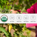 Powder Ashwagandha Organik, GMO-Non-, Fair- Trade, Vegan, Gluten Free, Origin Tunggal, Tumbuh di Oregon Adaptogenic Ayurvedic Herbal Supplemen Resable Jar