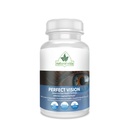 Perfect Vision AREDS2 Inspired Formula - Enhance Vision Suplement