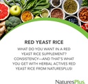 NaturresPlus Herbal Actives Red Yeast Rice - 120 Vegetarian Capsules, Paket 2 - Maksimum Potency Herbal Suplemen - Gluten Free - 240 Total Servis