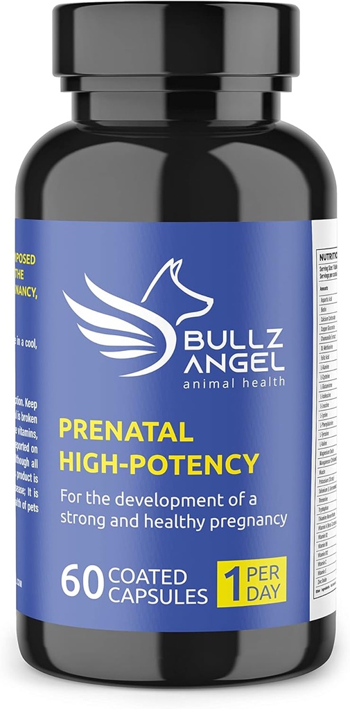 Potensi Tertinggi Prenatal