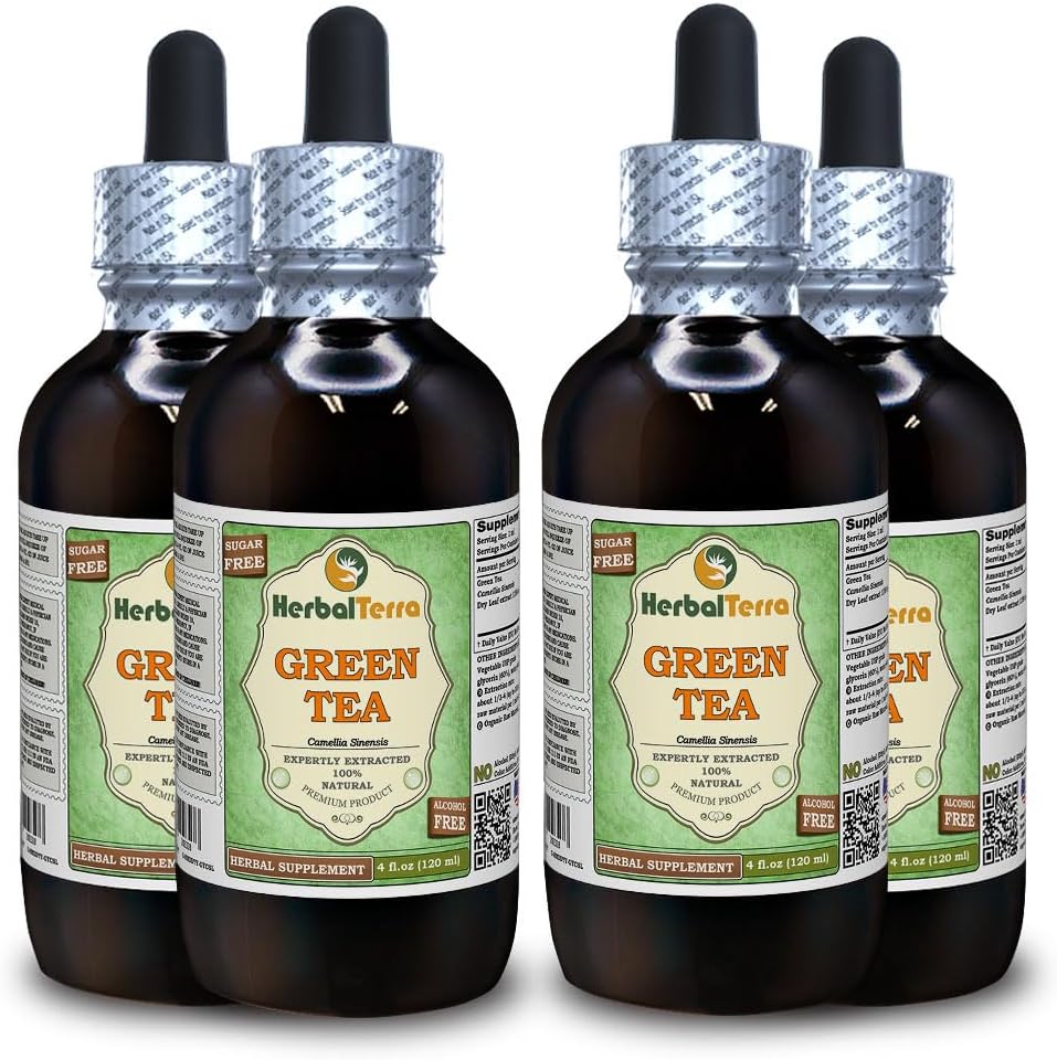 Teh Hijau (Camellia Sinensis) Glycerite, Dedaunan Organik Died Leaves Alcohol- Free Liquid Extract (Nama Merek: HerbalTerra, Proughtly Made in USA) 4x4 f.oz (4x120 ml)