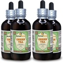 Teh Hijau (Camellia Sinensis) Glycerite, Dedaunan Organik Died Leaves Alcohol- Free Liquid Extract (Nama Merek: HerbalTerra, Proughtly Made in USA) 4x4 f.oz (4x120 ml)