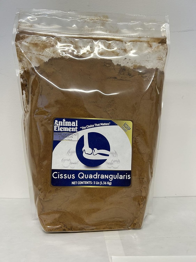 Cessus Quadrangularis 2,5% Kestosteron Ekstrat-3 lb. Mendukung Joints dan Bones Sehat, All Natural, GMO-Free
