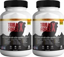 Tribal Force X Extra Strength Natural Supplement, 60 Tablet, Gluten Free, Non- GMO, 30 Hari Suppply (2)