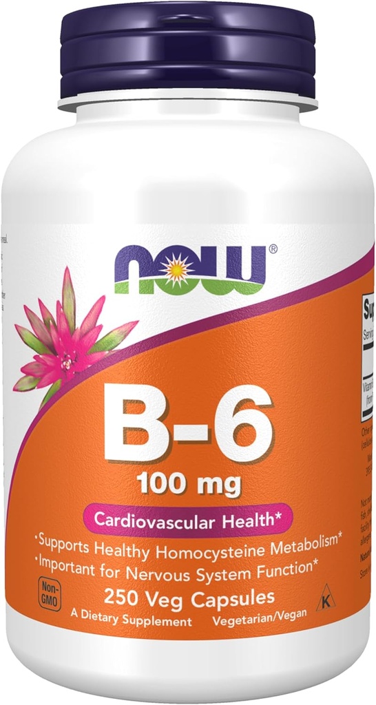 Sekarang Makanan Suplemen, Vitamin B-6 (Pyridoxine HCI) 100 mg, Kesehatan Kardiovaskular, 250 Veg Capsules